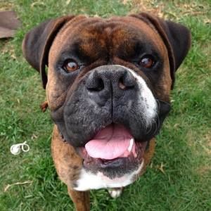 Meet your Posher, Andrew